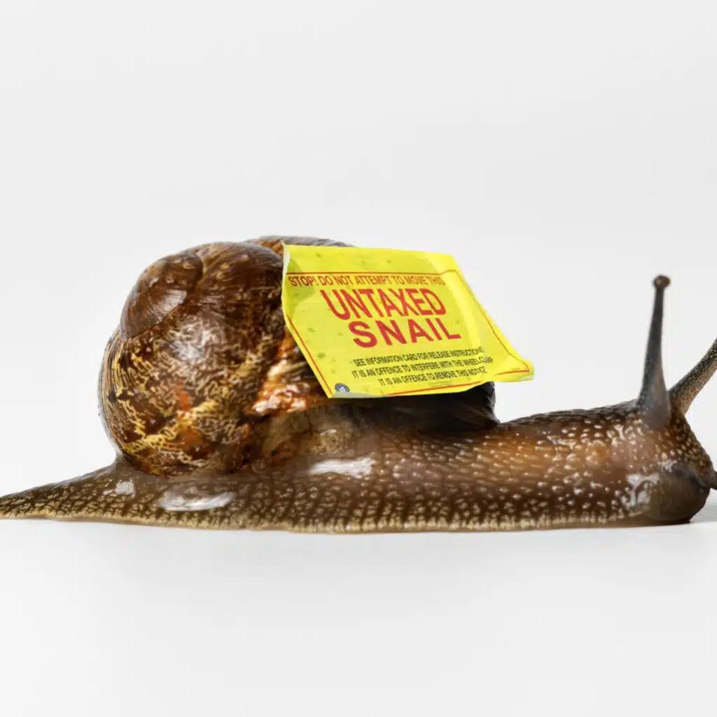 The snail farm don: is this the most brazen tax avoidance scheme of all time?