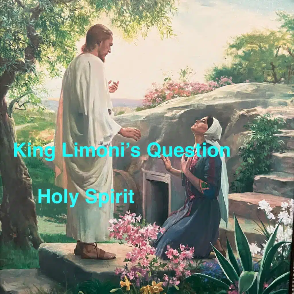 King Limoni's Question