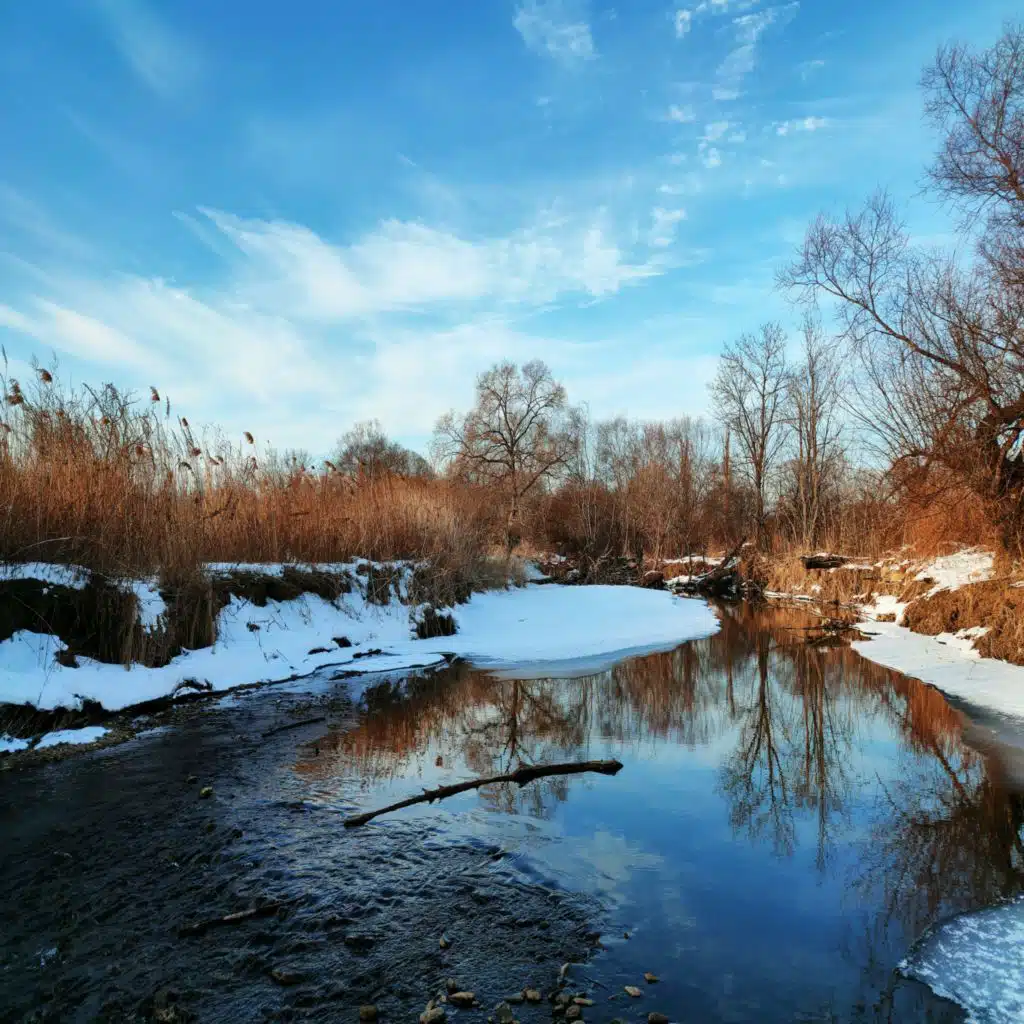 بلبس من جوتشى