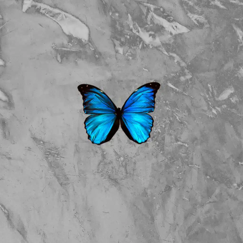 Mariposa