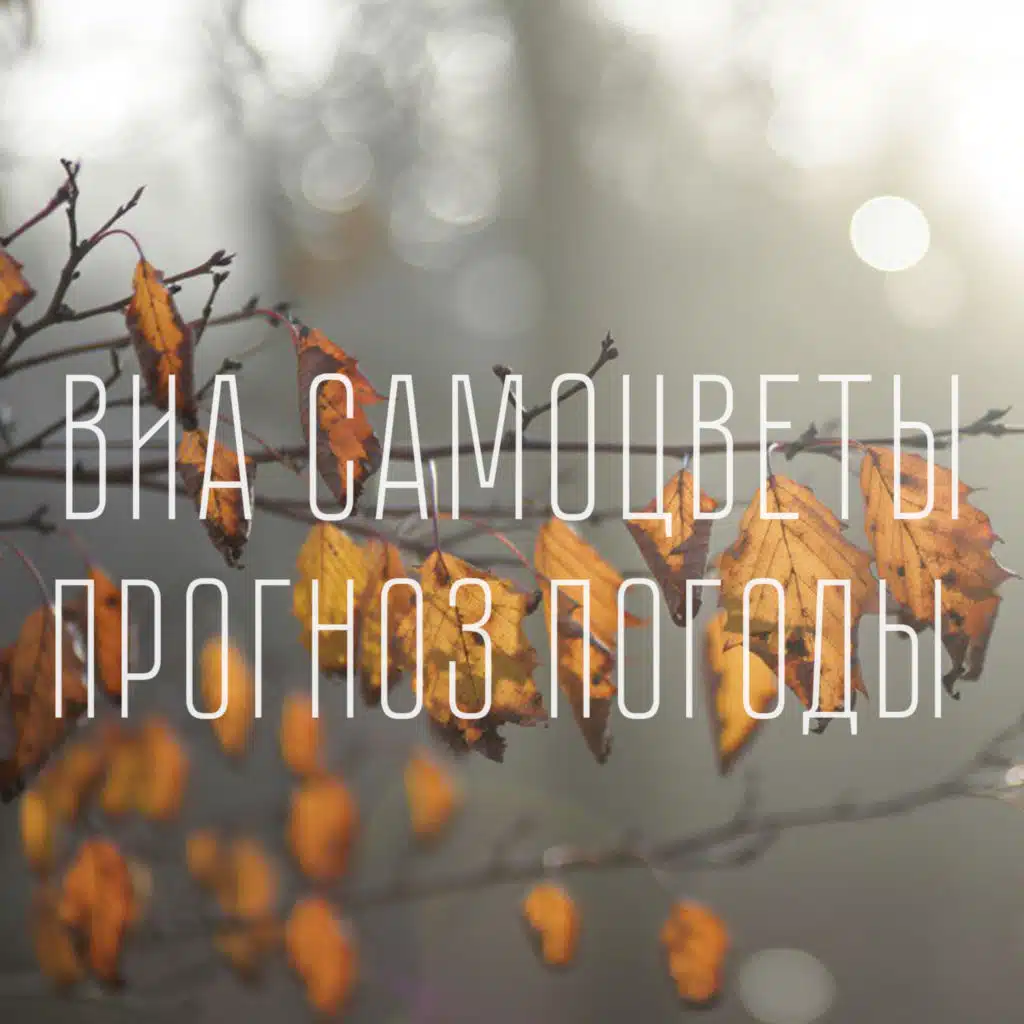 Прогноз погоды