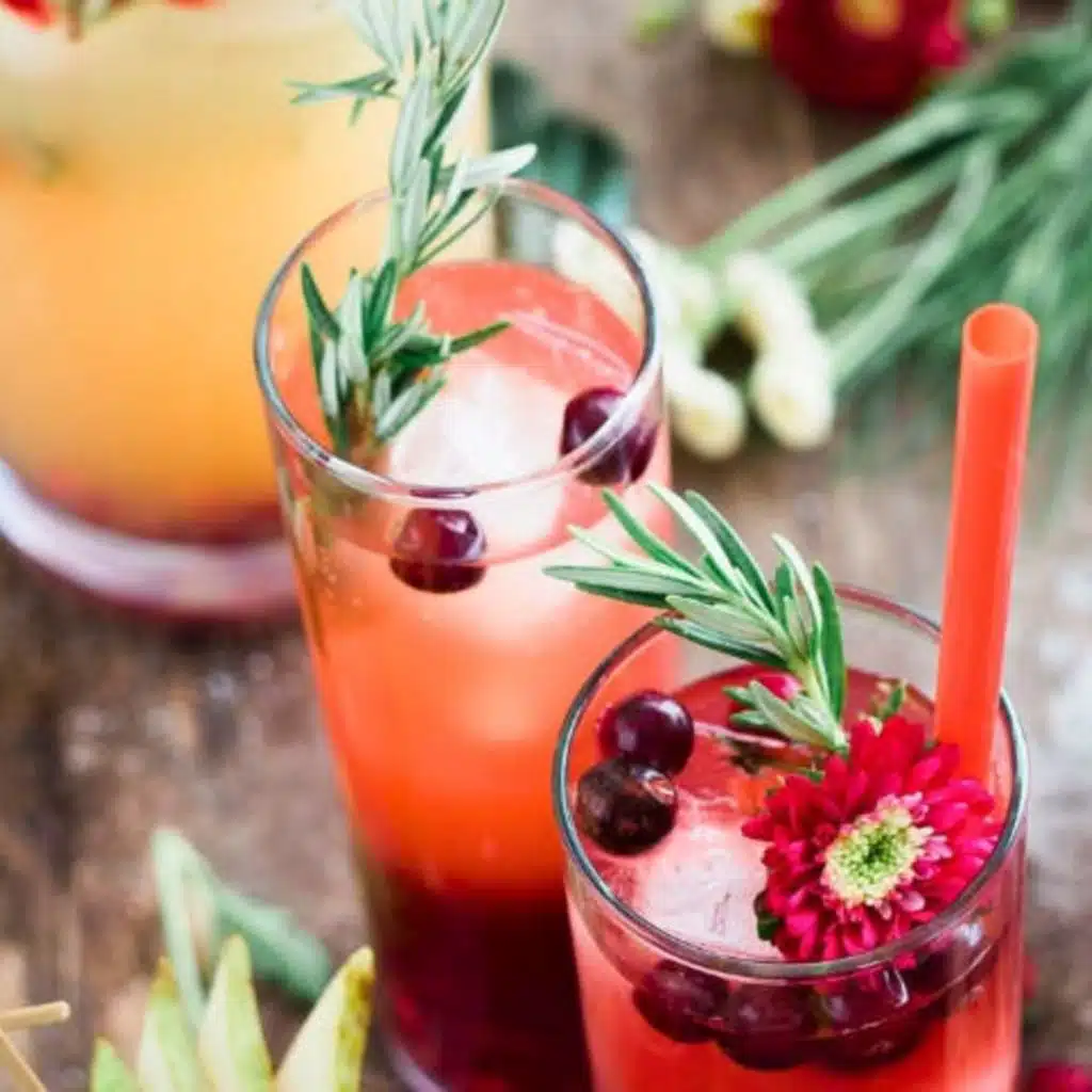 Mocktails: Non-Alcoholic Pregnancy Drinks
