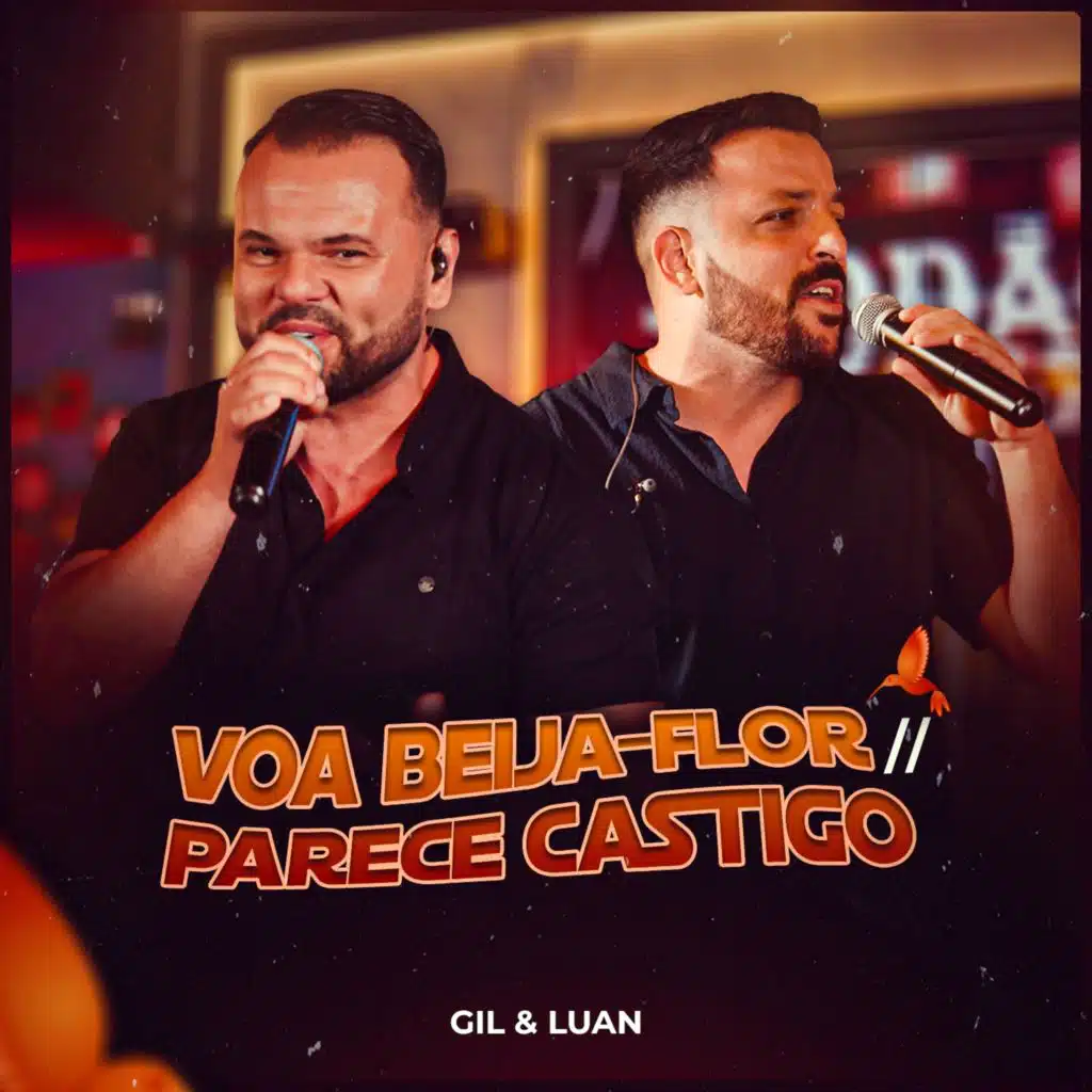 Voa Beija-Flor - Parece Castigo (Ao vivo)
