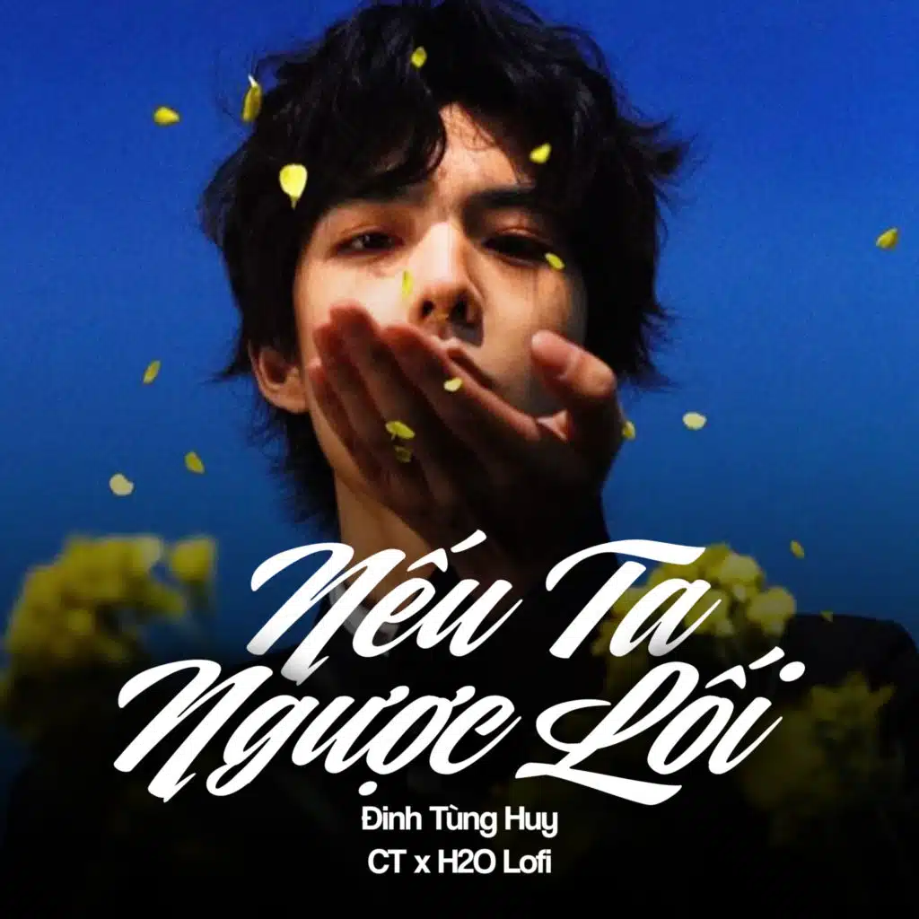 Nếu Ta Ngược Lối (Lofi)