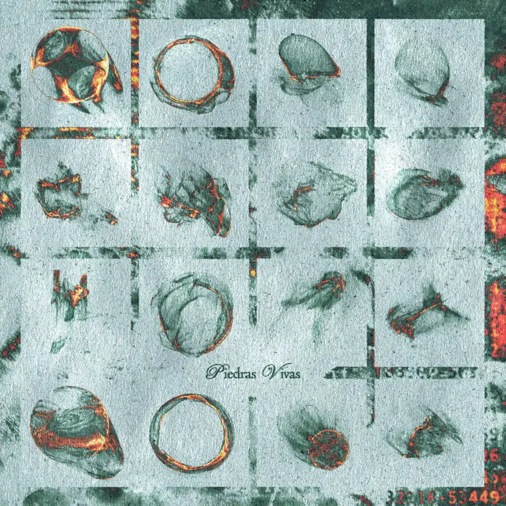 Piedras Vivas