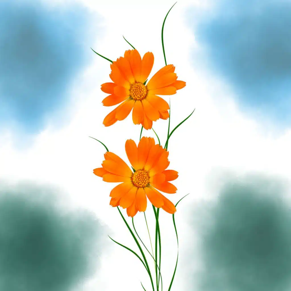 The Pianist & D'Michel leb