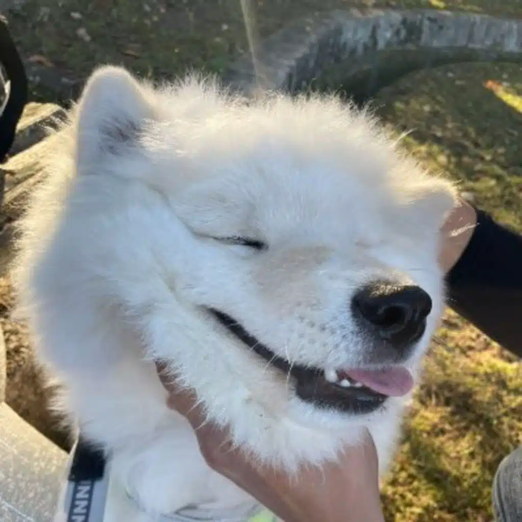 Shiloh Dynasty & sleepy dawg