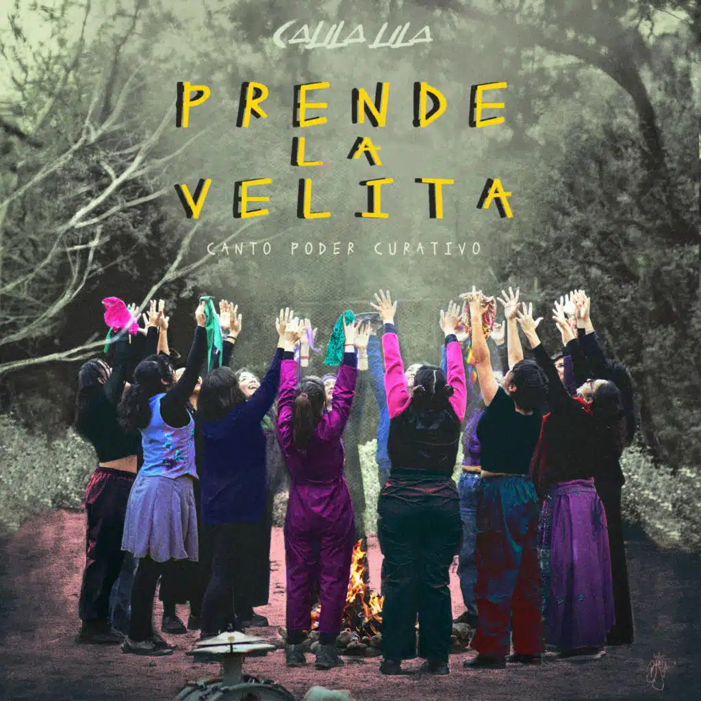Calila Lila Colectivo