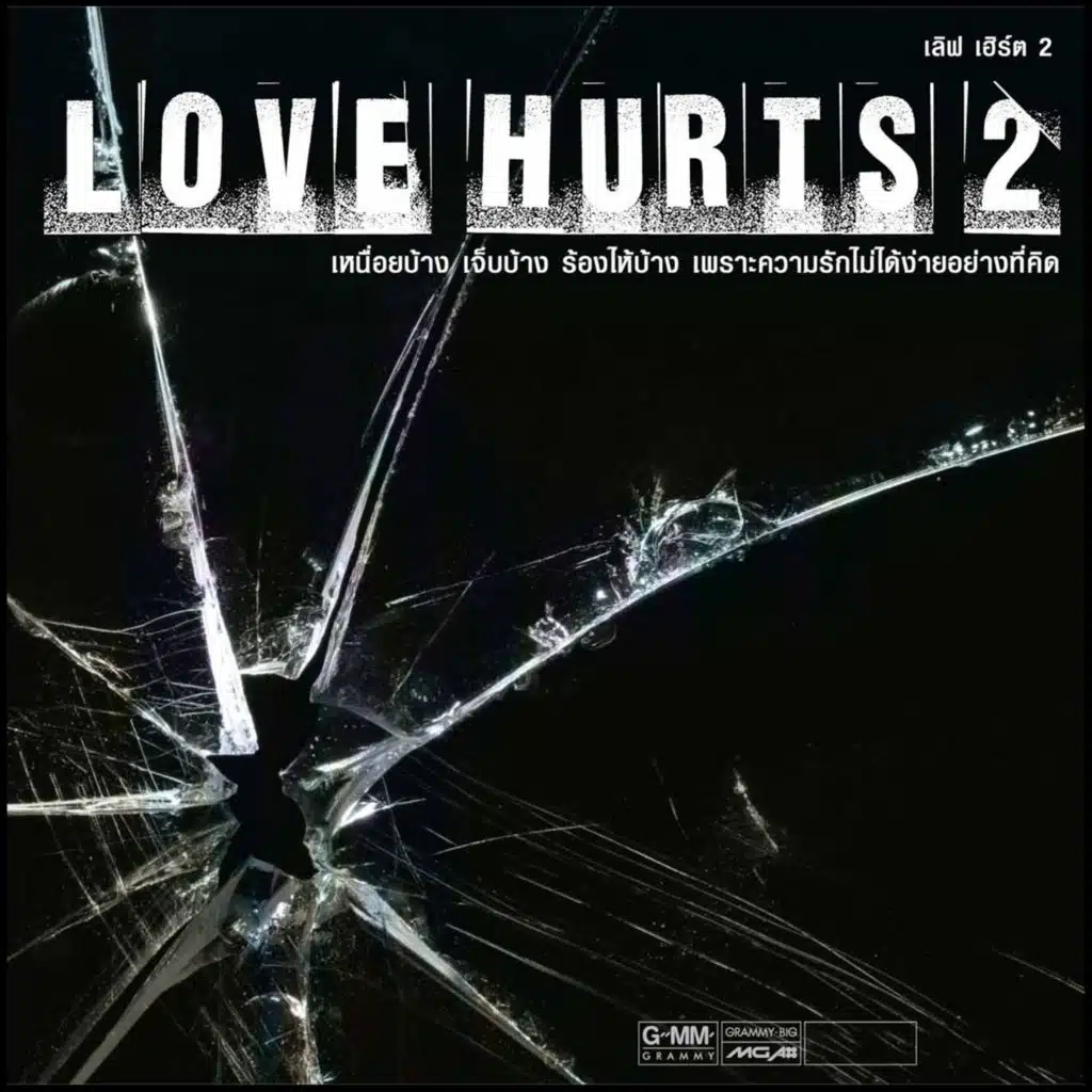 LOVE HURTS 2
