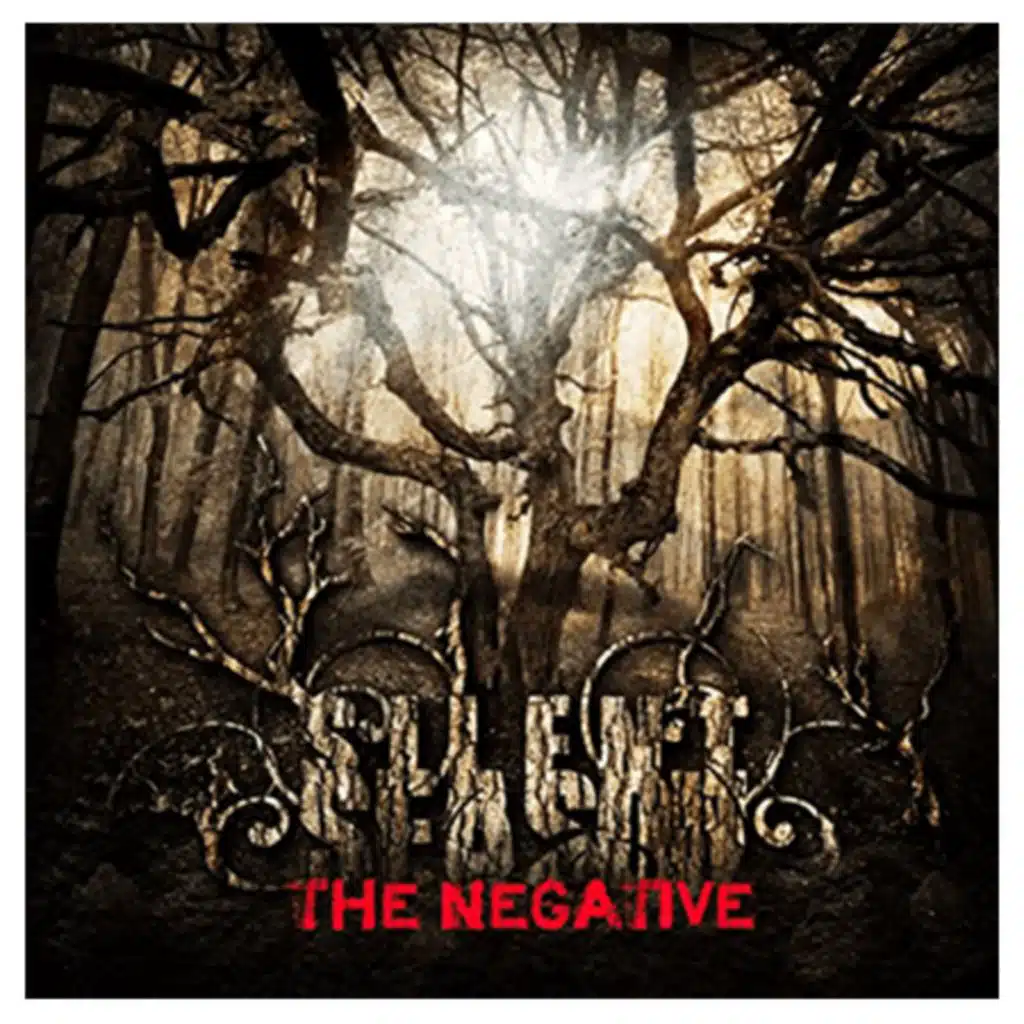 The Negative