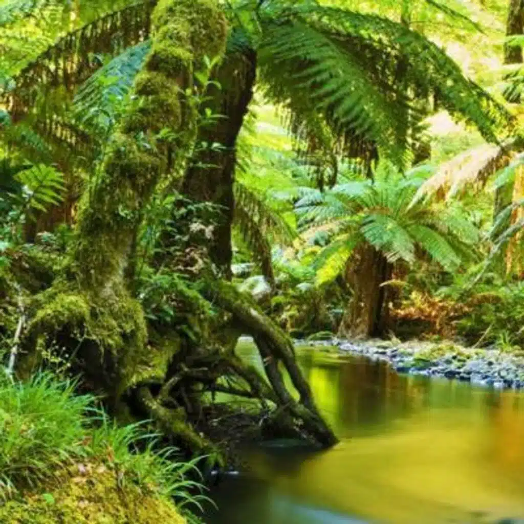 Amazon Original - 10 Hours Sleep Sound