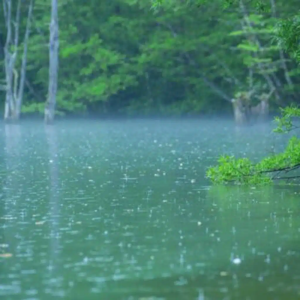 Rain on Lake - 10 Hours Sleep Sound