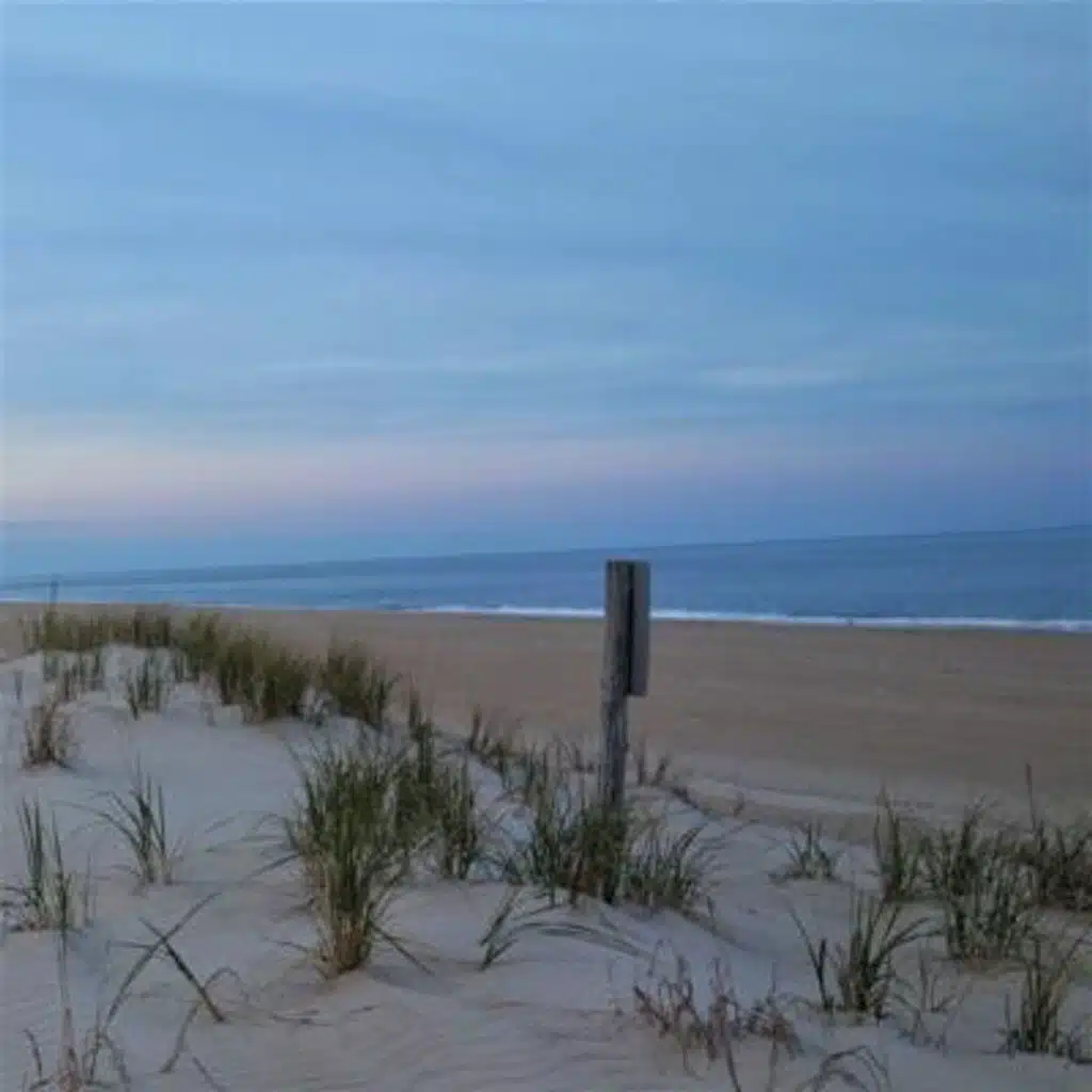 Winter Waves at Lewes Beach - 10 Hours Sleep Sound