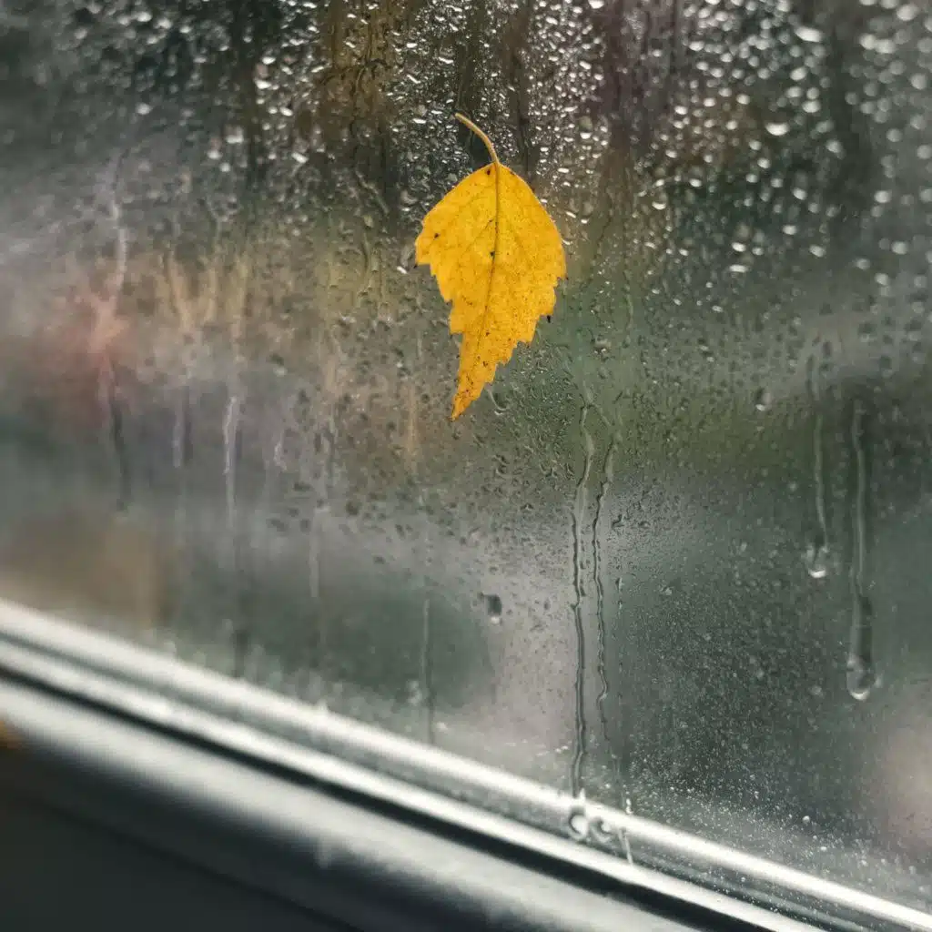 Splattering Window Rain - 10 Hours Sleep Sound