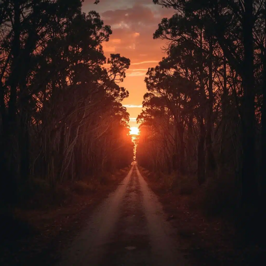 Eucalyptus Forest Owl - 10 Hours Sleep Sound