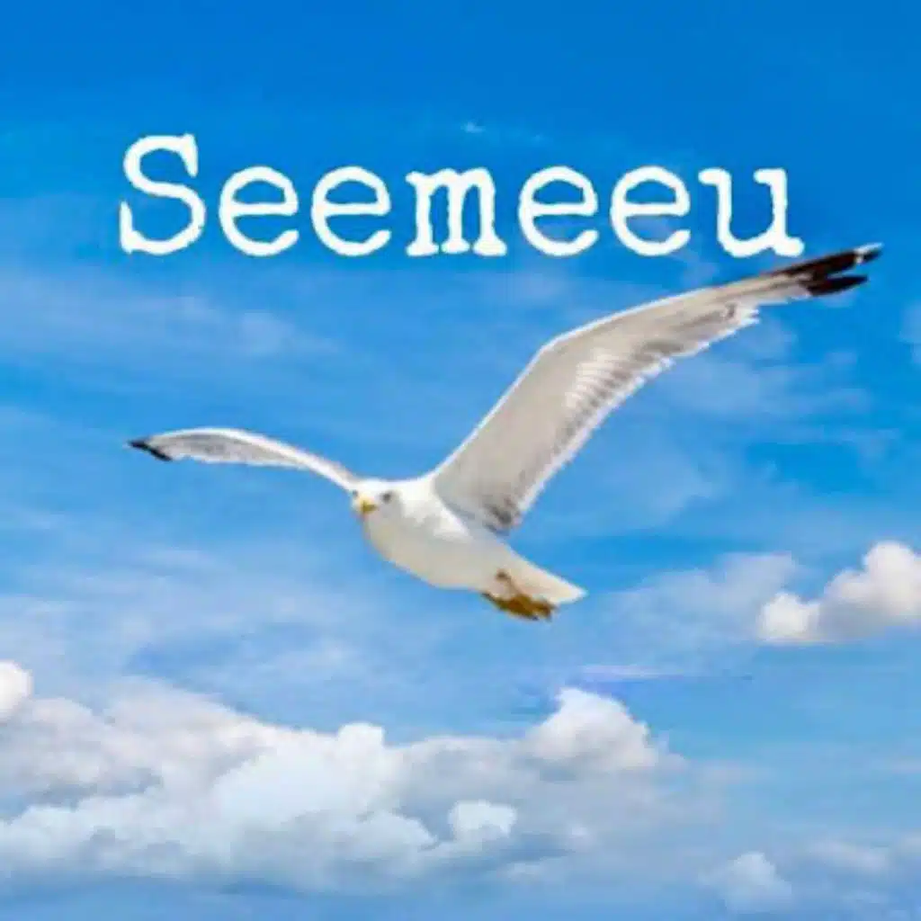 Spikkelmeeu (feat. Johan)