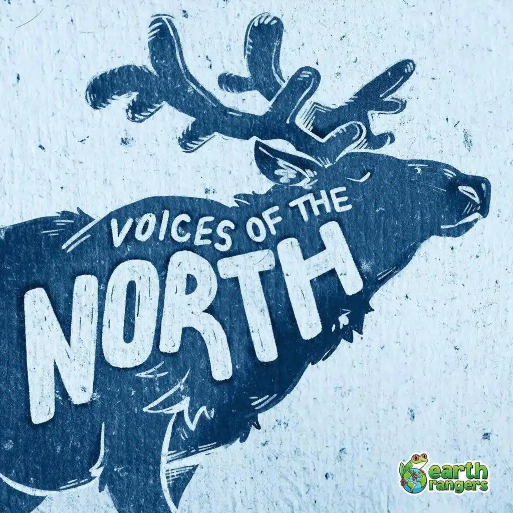 S10 E4: Voices of the North: Journey by Dog Sled