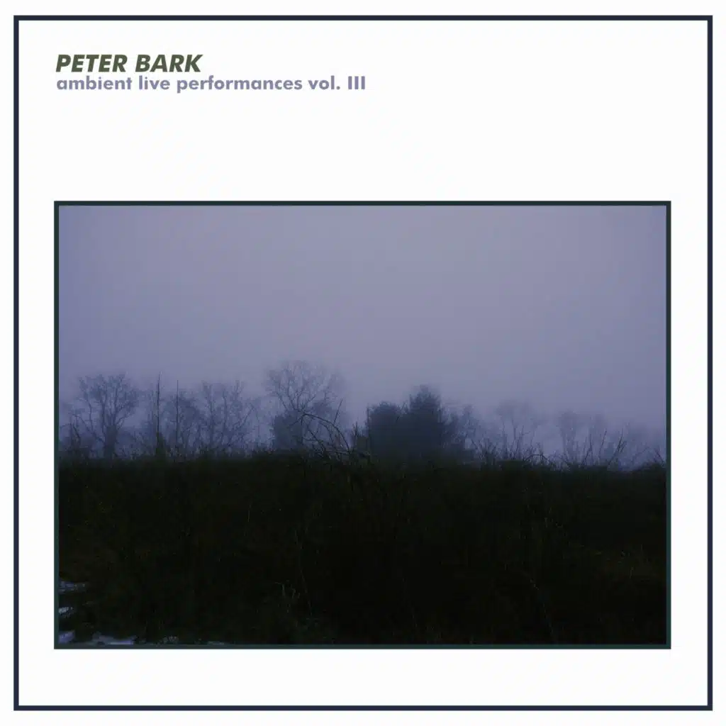 Peter Bark