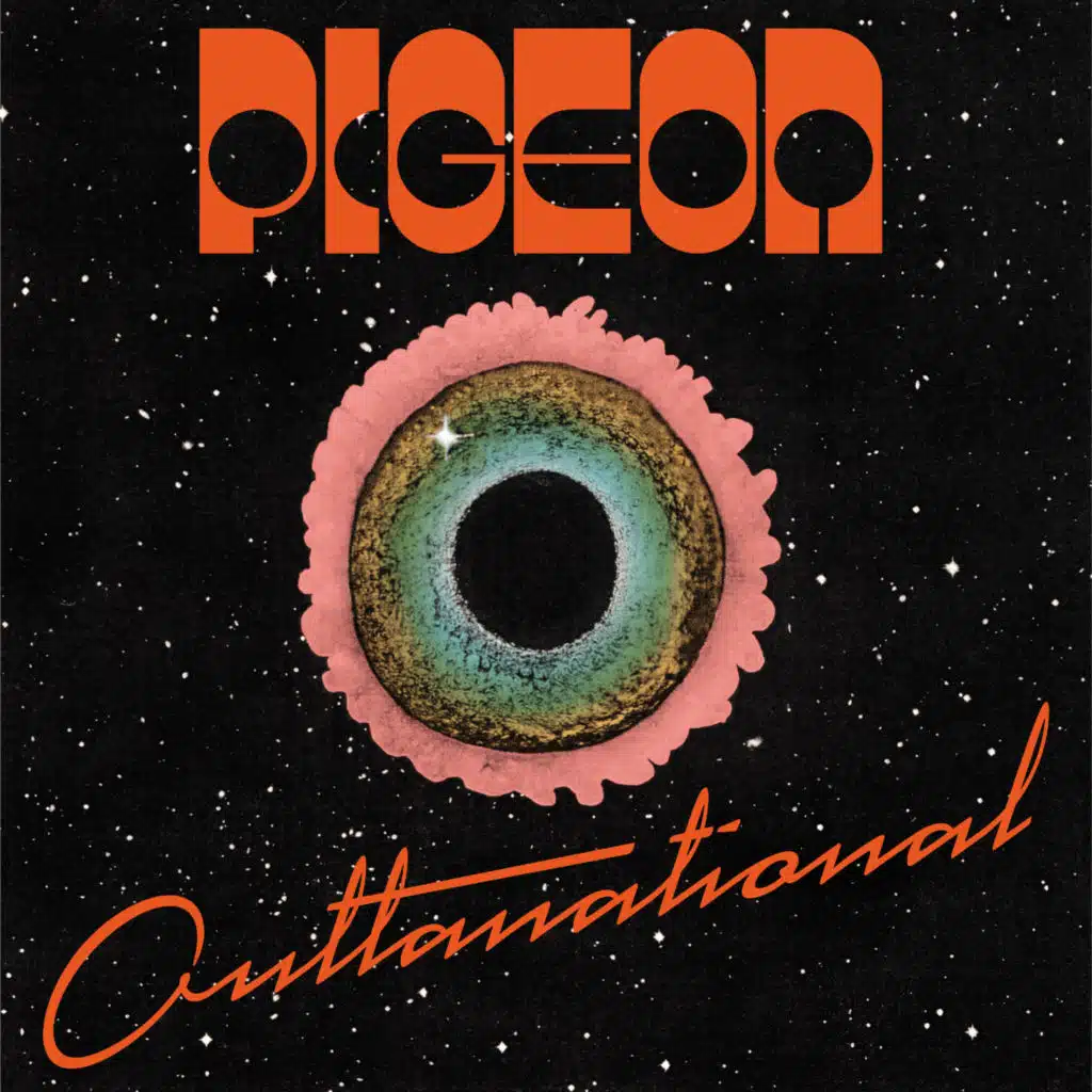 Pigeon