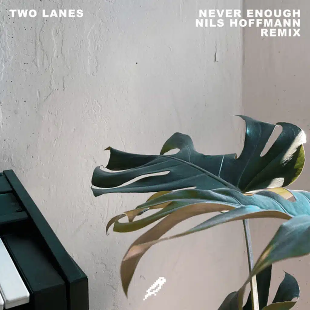 Never Enough (Nils Hoffman Remix)