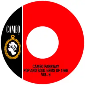 Cameo Parkway Pop And Soul Gems Of 1966 Vol. 6