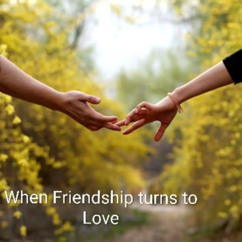 When Friendship turns to Love
