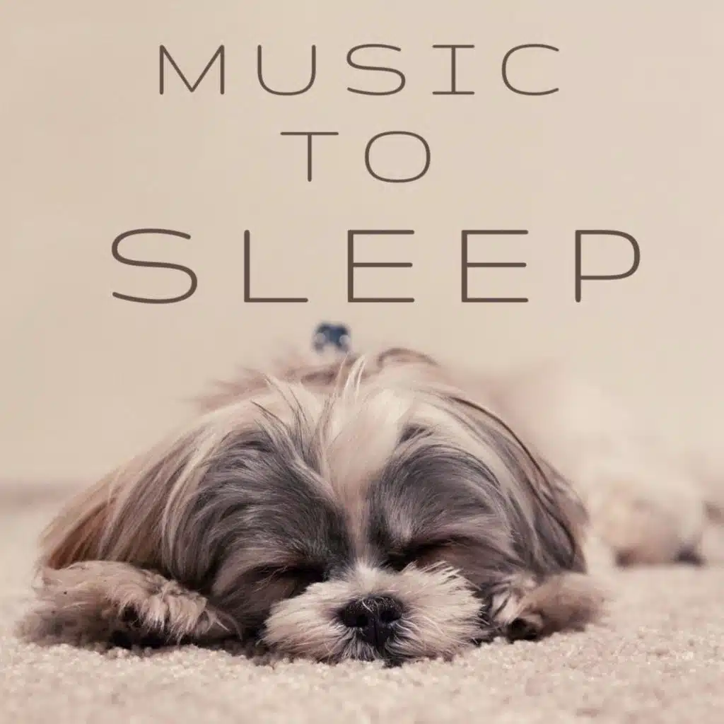 MUSIC TO SLEEP vol.1