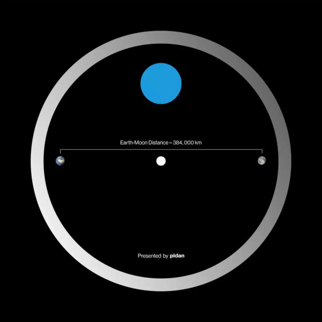 和小猫一起看月亮