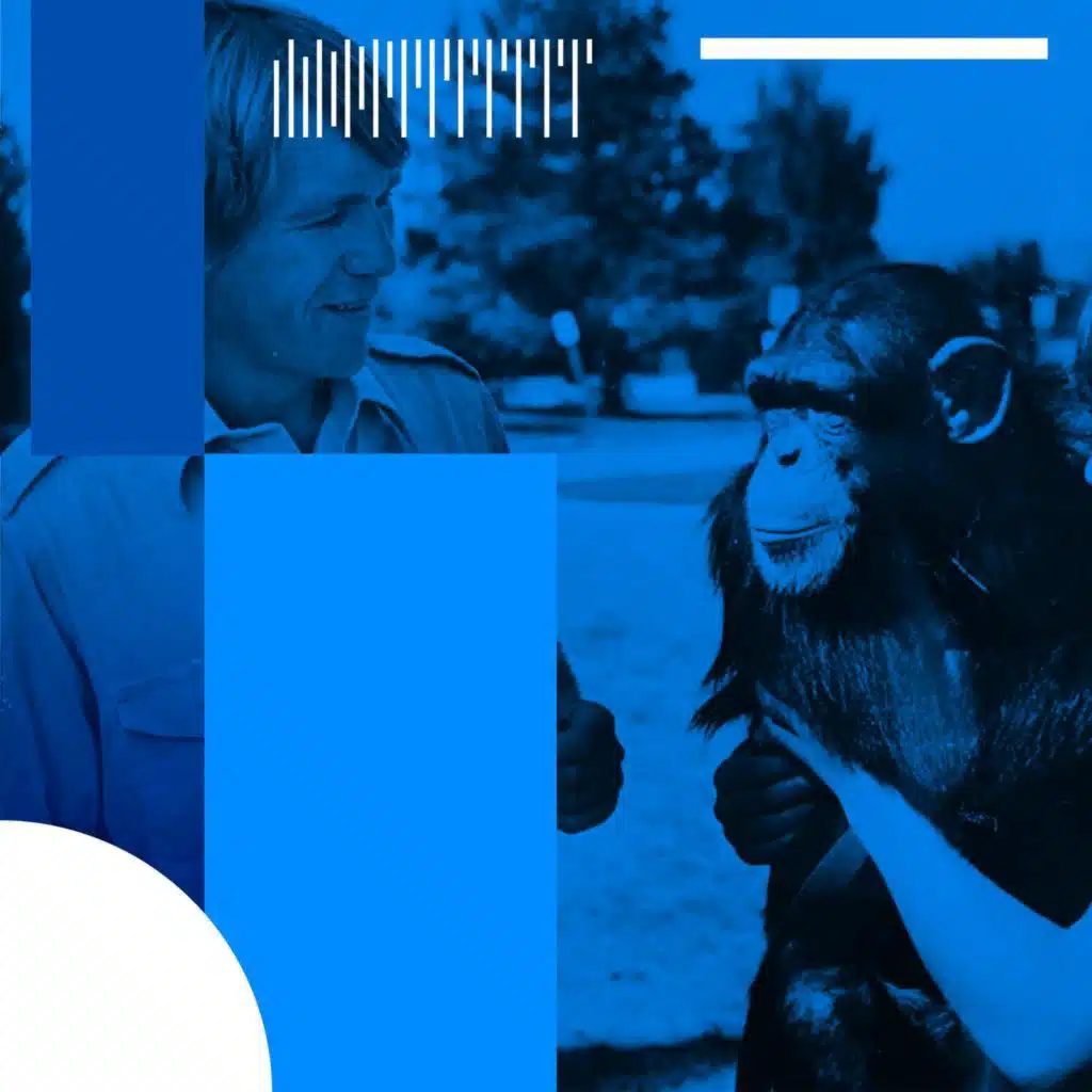 Kommunikation zwischen Mensch und Tier - Mit Schimpansen sprechen