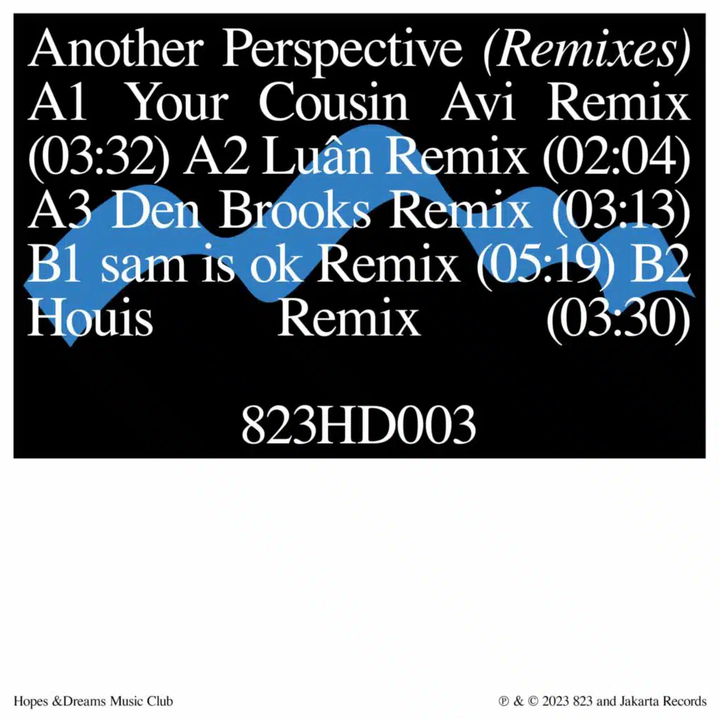 another perspective (Remixes)