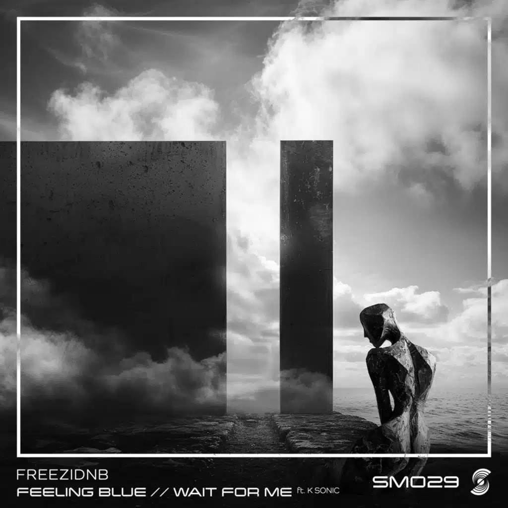 Freezidnb
