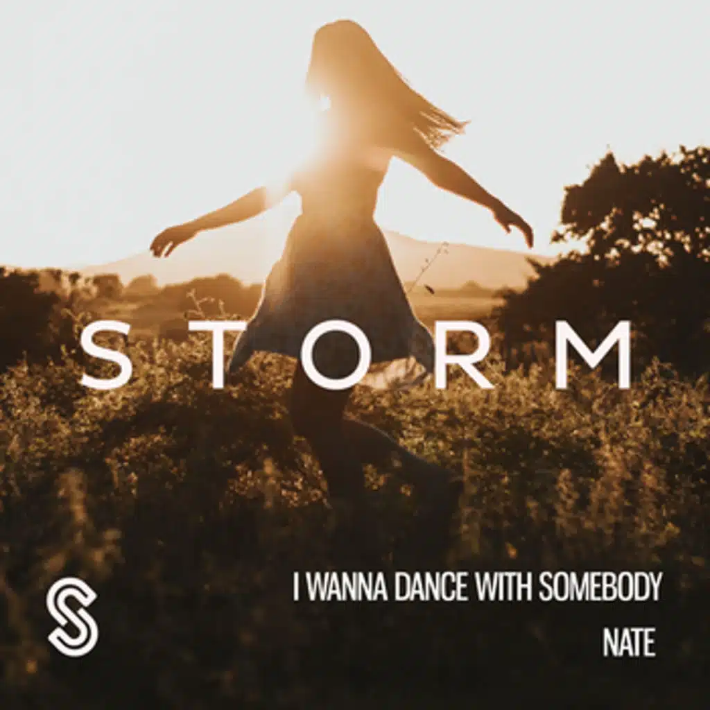 I Wanna Dance with Somebody