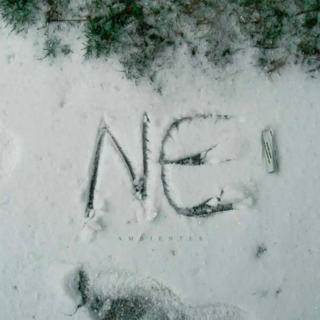 Nacional Electrónica