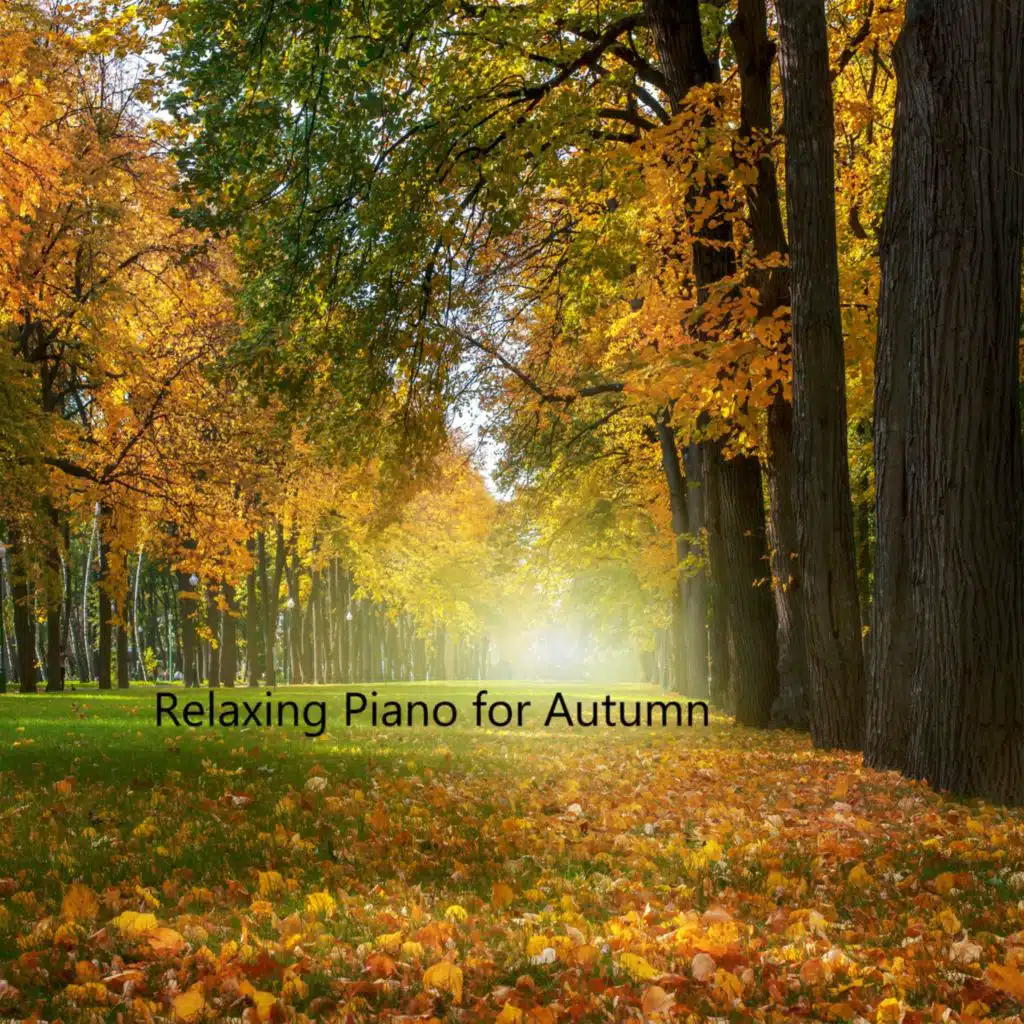 낙엽 밟는 느낌의 가을 피아노