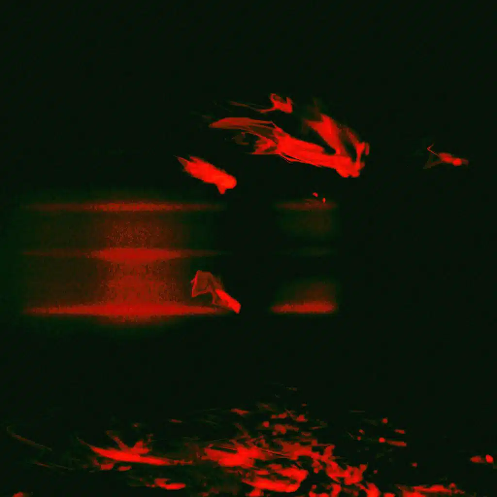 What Shape Will You Take