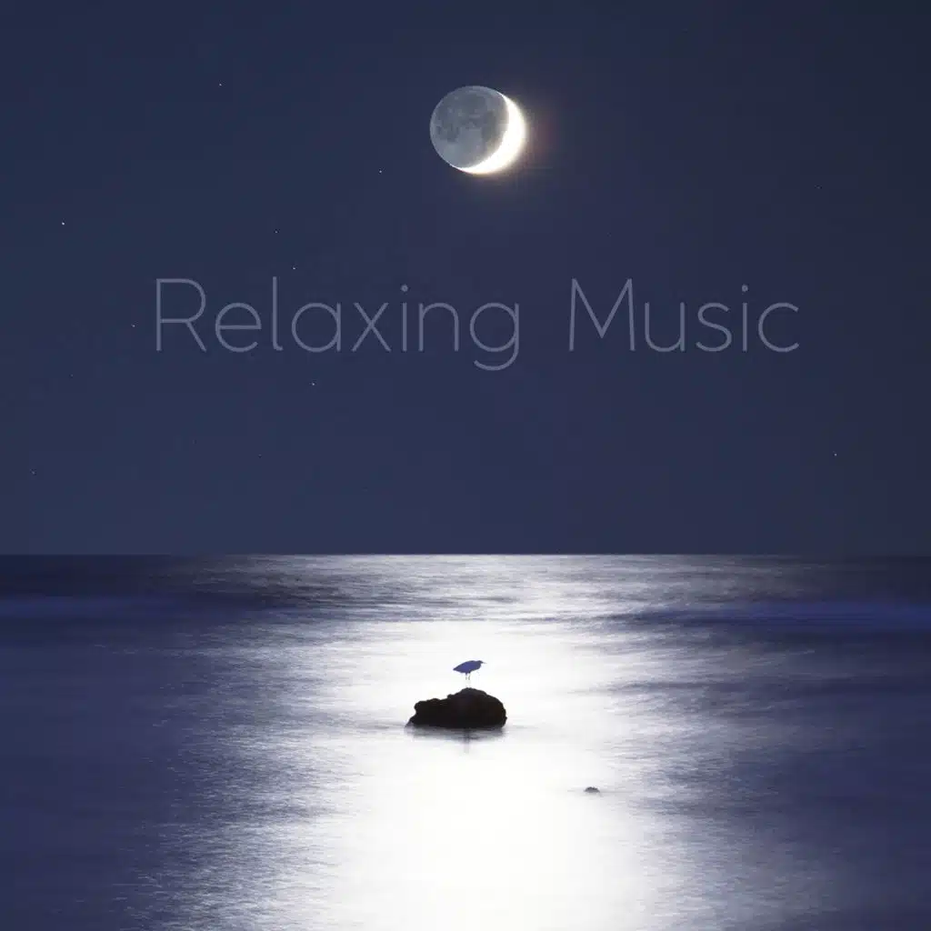 편안한 쉼터 (밤숲소리)