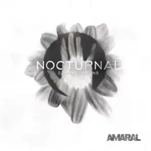 Nocturnal (acoustic version)