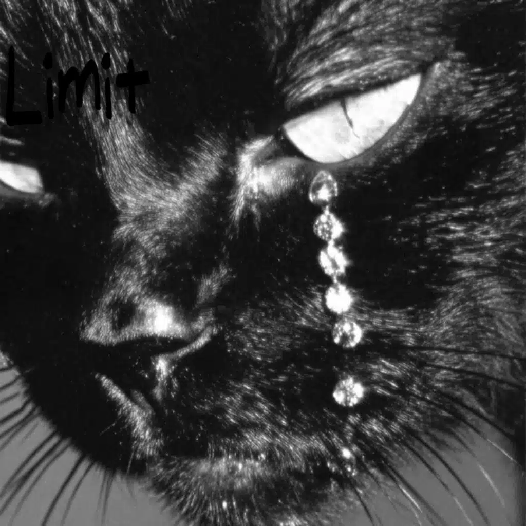 Limit