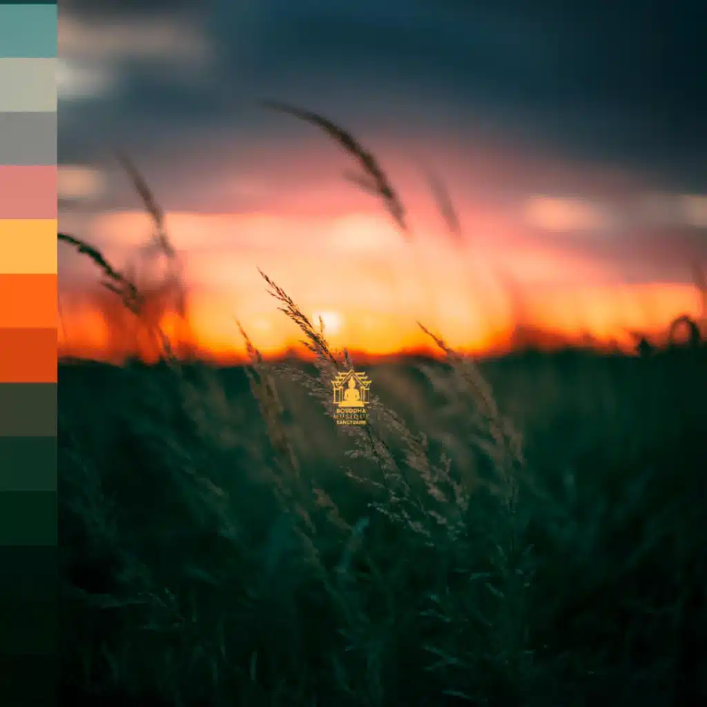 Palette de tranquillité