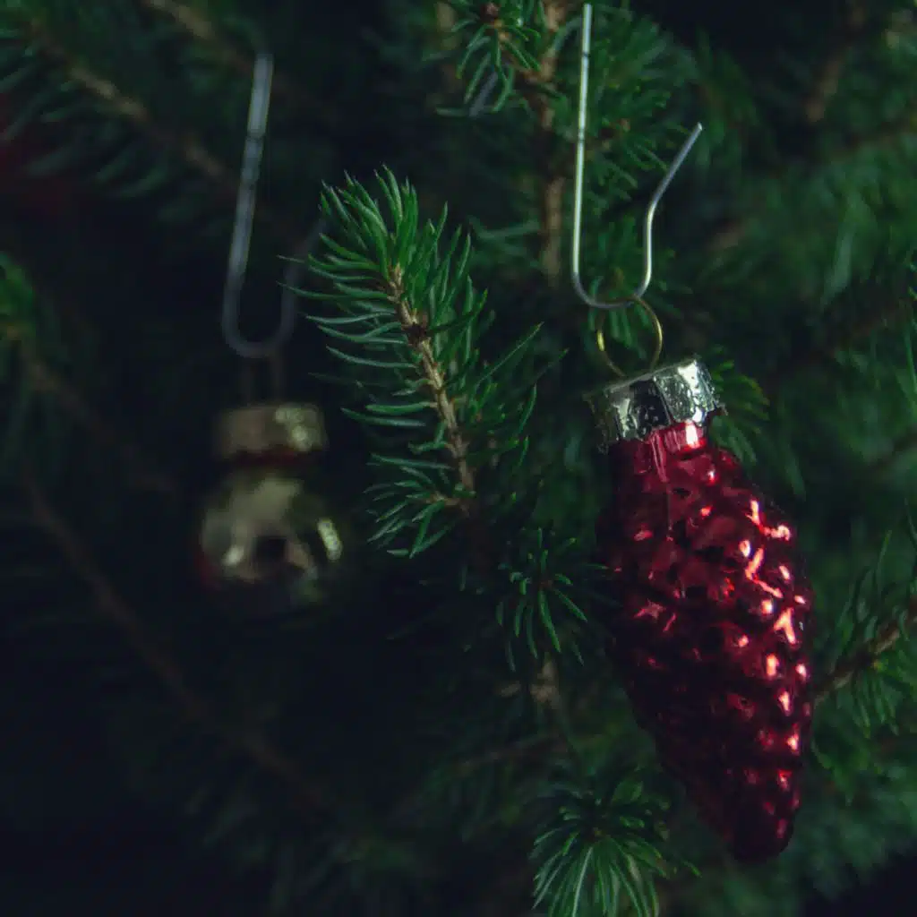 Speed Up & Nightcore