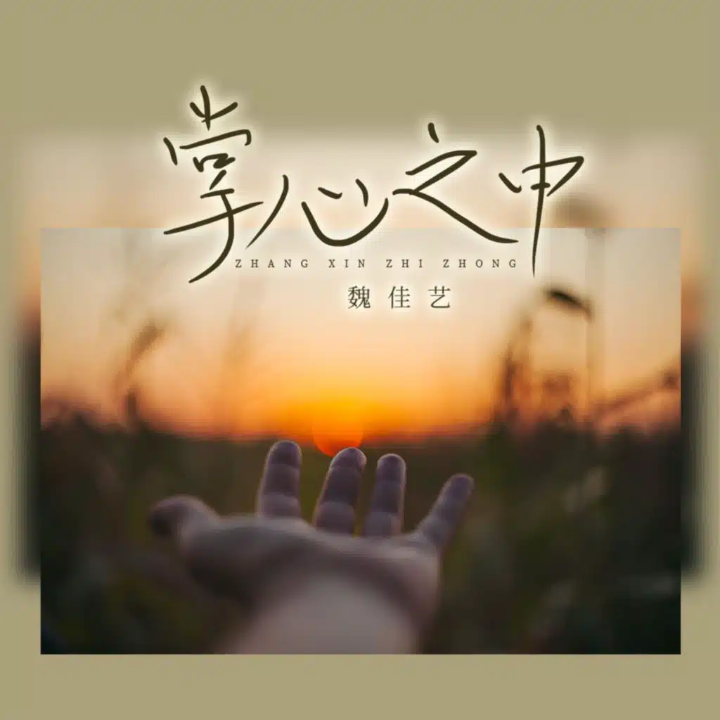 掌心之中 (DJ阿尼版)