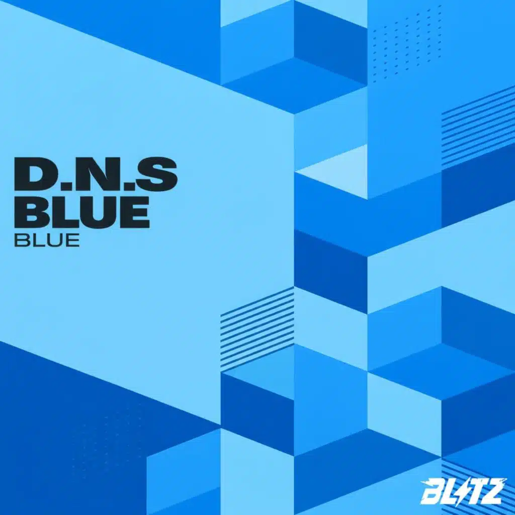 D.N.S