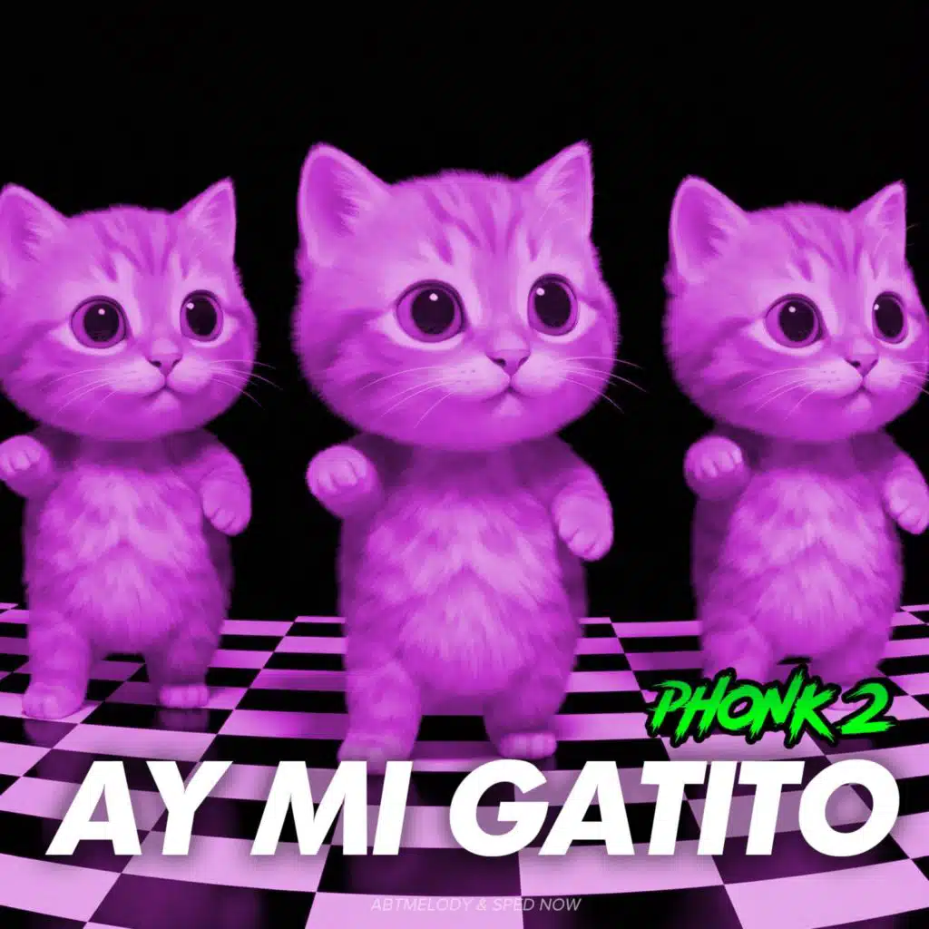 Ay Mi Gatito Phonk 2 (Slowed+Reverb)