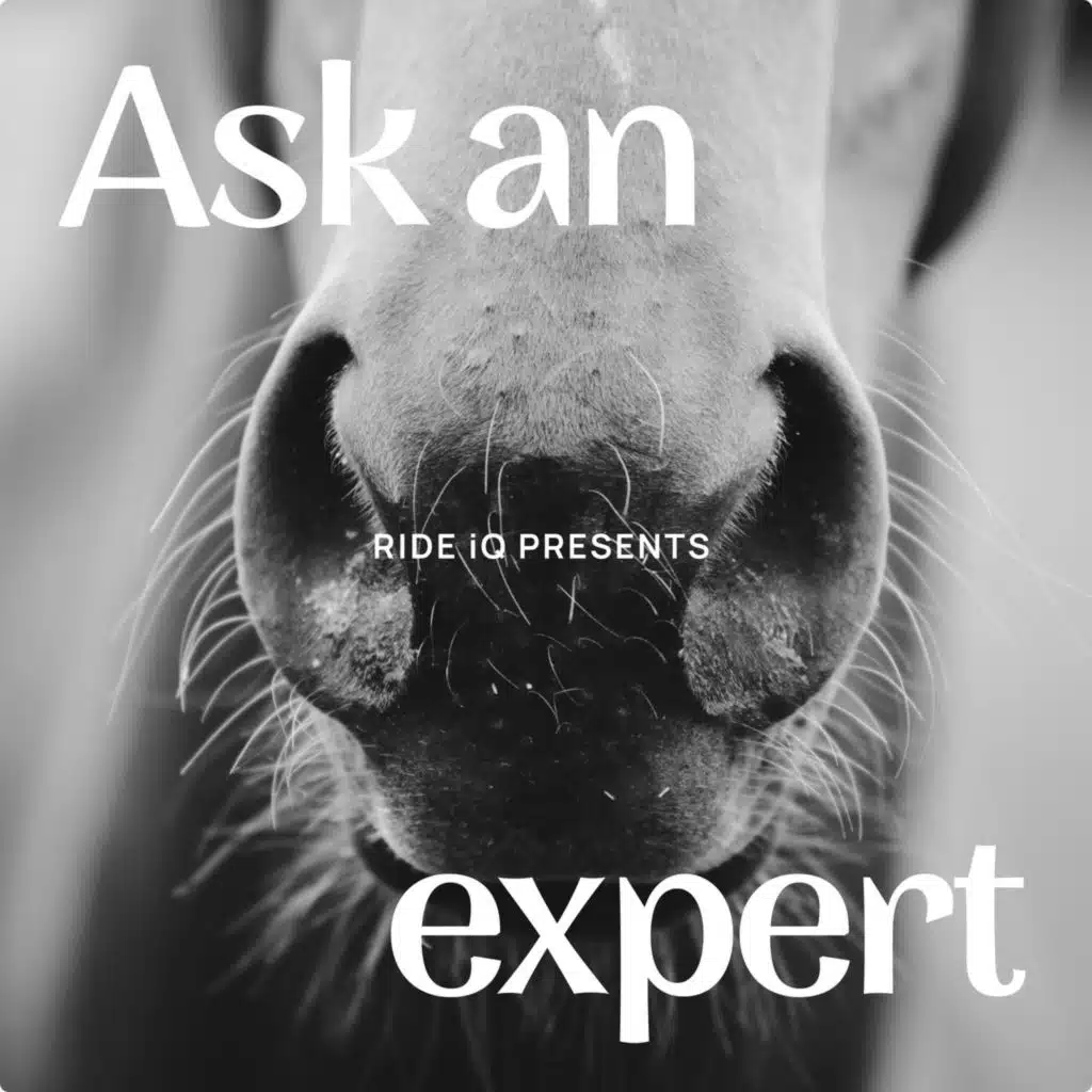 INTRODUCING: Ask An Expert - A Vet's Guide to Winter Horse Care