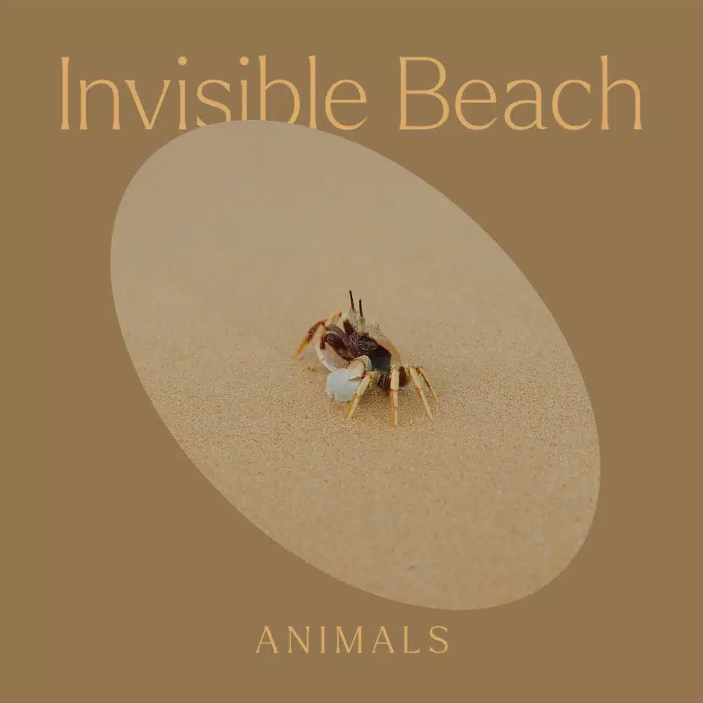 Invisible Beach