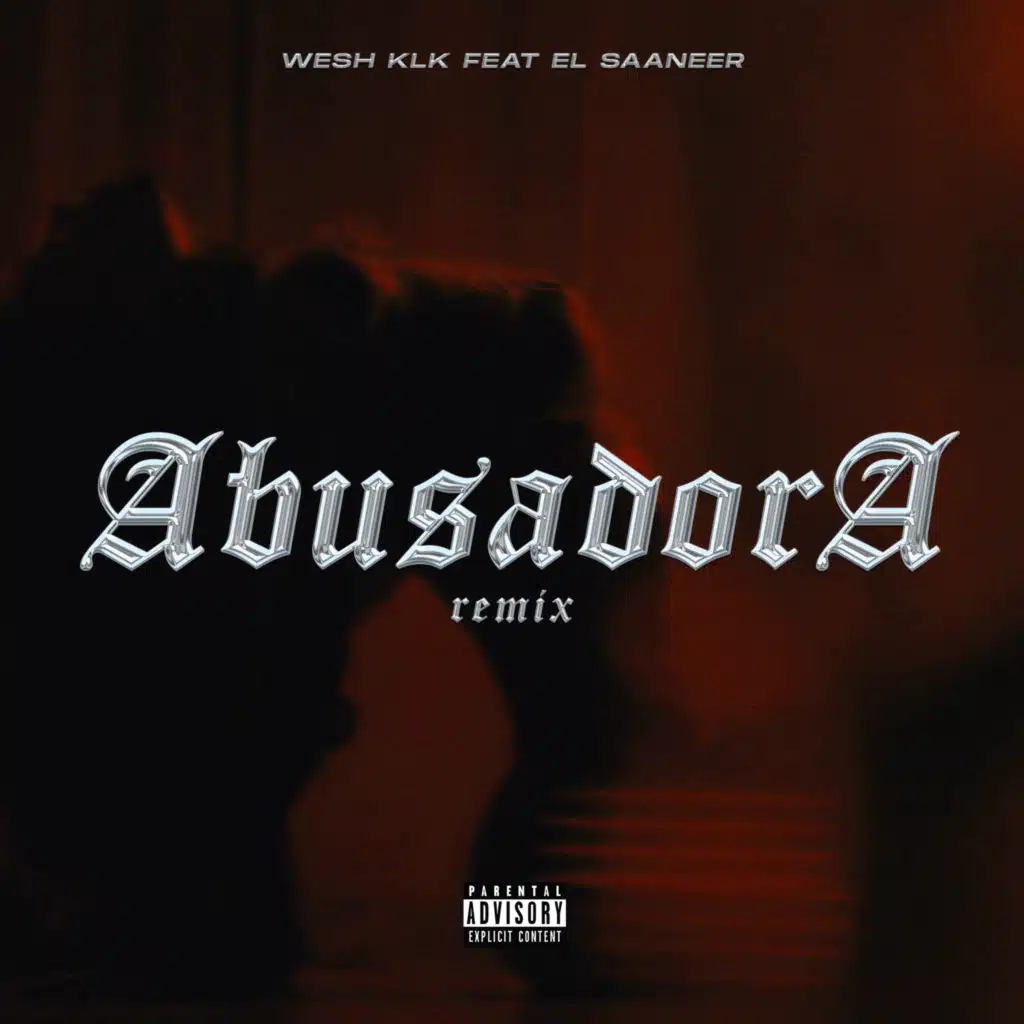 Abusadora (Remix) [feat. El Saaneer]