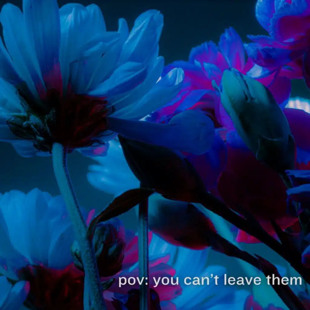 pov: you can't leave them