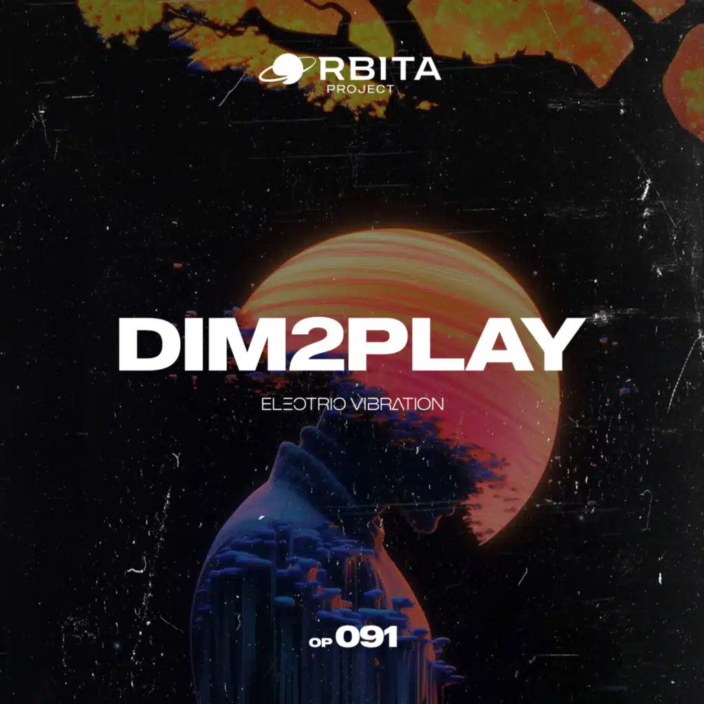 Dim2Play