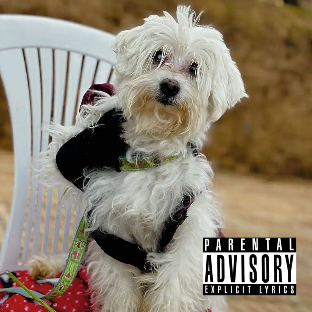 Capitulo 1, No Tengo La Menor Idea