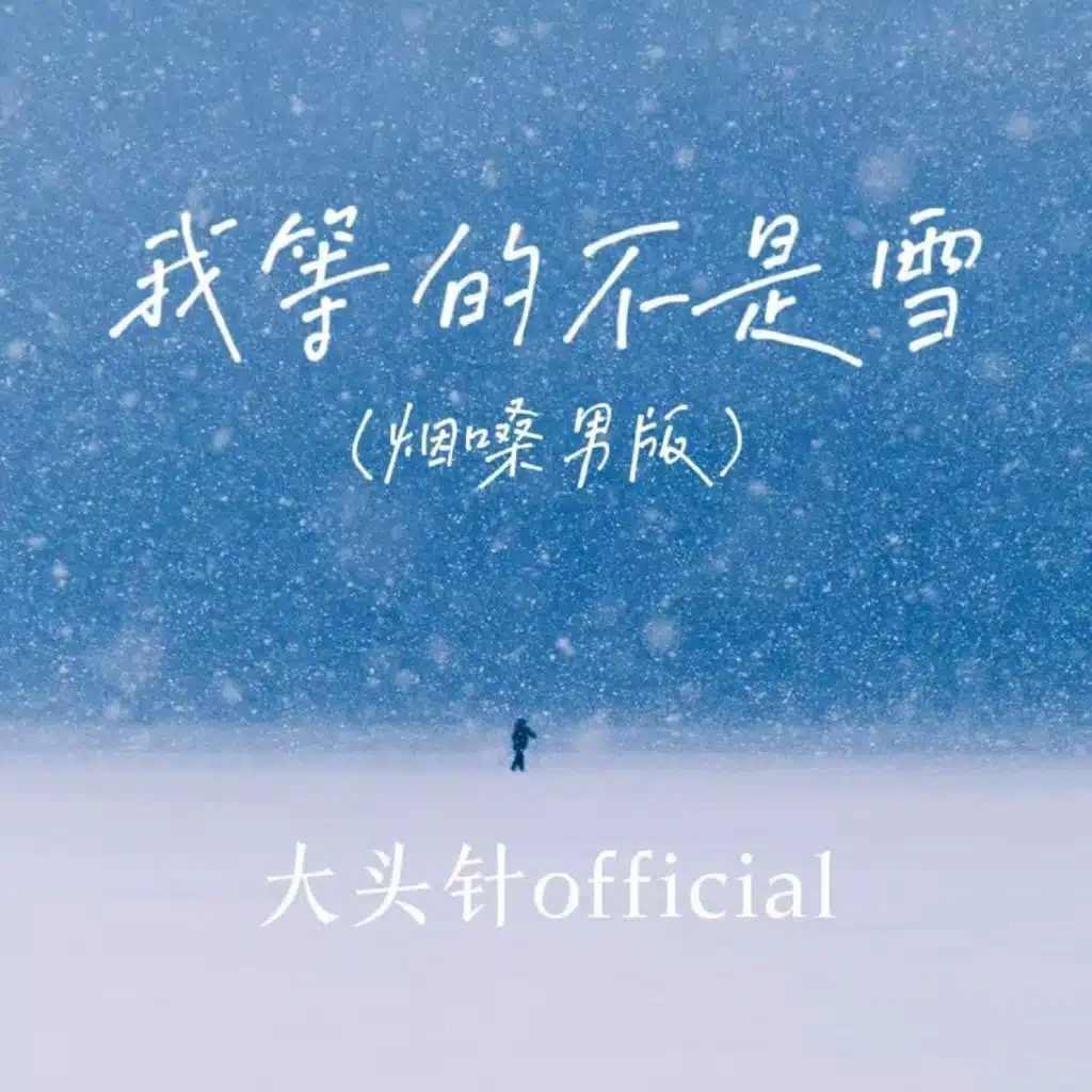我等的不是雪 (烟嗓男版)